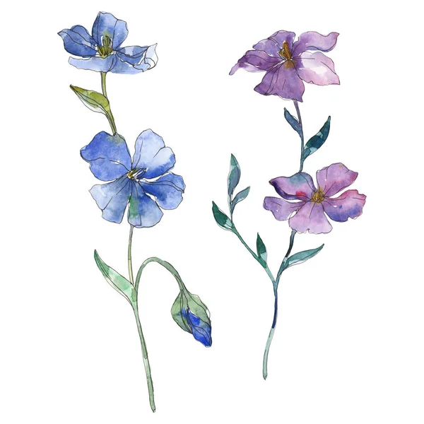 Синий и фиолетовый цветочный ботанический цветок льна. Дикий весенний цветок изолирован. Набор акварельных фонов. Акварель для рисования акварелью. Изолированный льняной иллюстрационный элемент . — стоковое фото