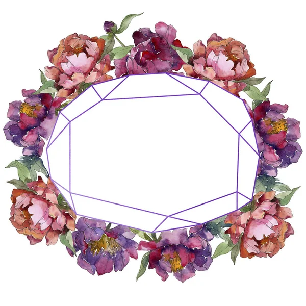 Violett isoliert auf weißen Pfingstrosen Aquarell Hintergrund Illustrationsset. Rahmen Bordüre Ornament. — Stockfoto