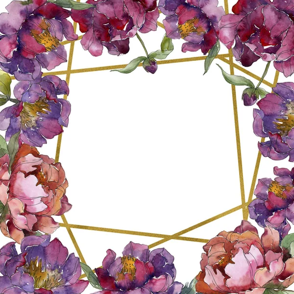 Peonía púrpura flor botánica floral. Flor silvestre de hoja de primavera aislada. Conjunto de ilustración de fondo acuarela. Acuarela dibujo moda acuarela aislado. Marco borde ornamento cuadrado . - foto de stock