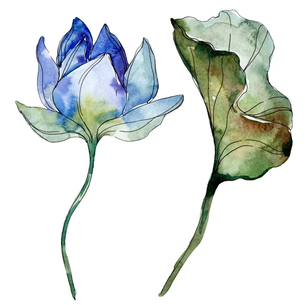 Блакитна і фіолетова квітка лотоса з зеленим листям. Акварельні ізольовані елементи ілюстрації . — стокове фото