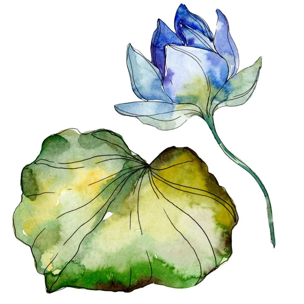 Blue and purple lotus flower with green leaf. Watercolor isolated illustration elements. — Stock Photo