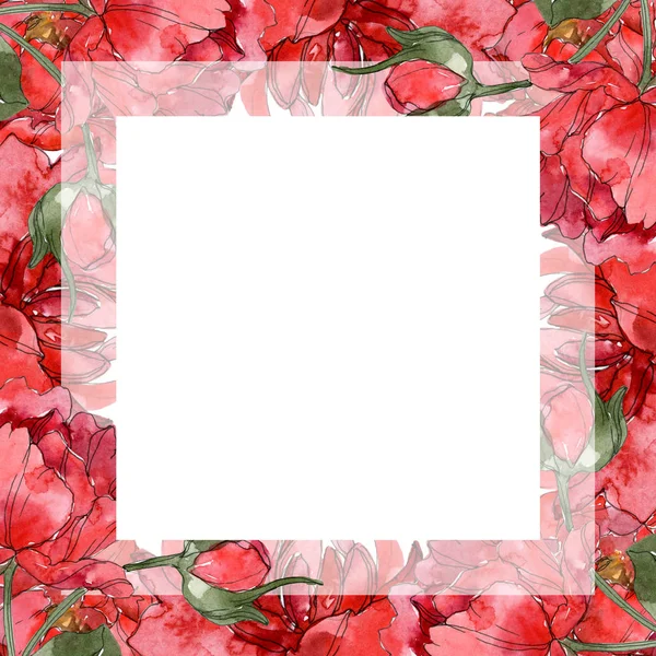 Red peonies watercolor background illustration set isolated on white. Frame border ornament. — Stock Photo