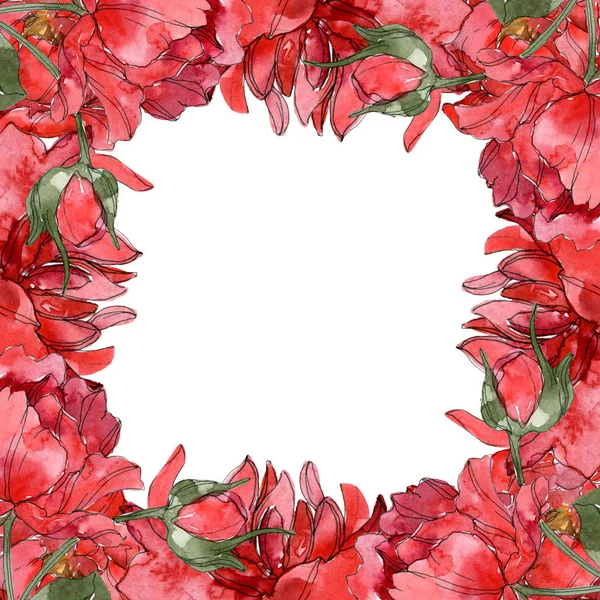 Peonie rosse acquerello sfondo illustrazione set isolato su bianco. Ornamento bordo cornice . — Foto stock