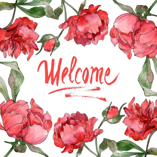 Red peonies watercolor background illustration set isolated on white. Frame border ornament. — Stock Photo