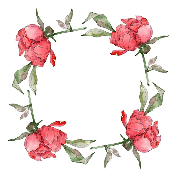 Rote Pfingstrosen Aquarell Hintergrund Illustration gesetzt isoliert auf weiß. Rahmen Bordüre Ornament. — Stockfoto
