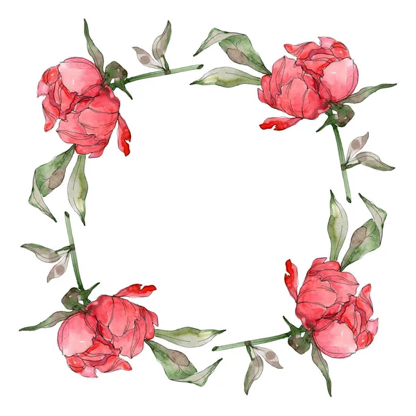 Red peonies watercolor background illustration set isolated on white. Frame border ornament. — Stock Photo