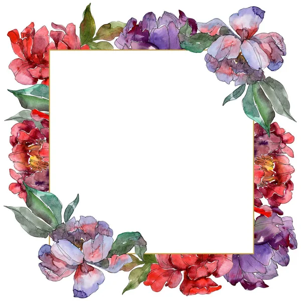 Pivoines rouges et violettes. Ensemble d'illustration de fond aquarelle. Cadre bordure ornement avec espace de copie . — Photo de stock