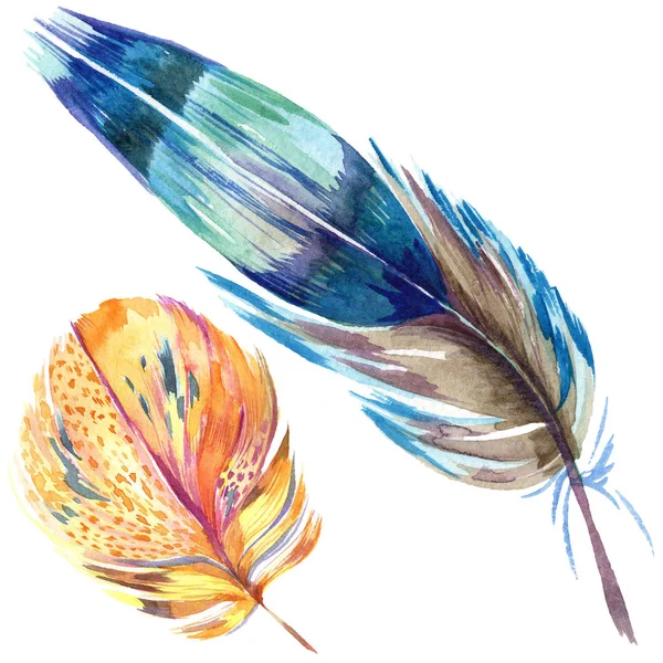 Colorful bird feather from wing isolated. Aquarelle feather for background. Watercolor illustration set. Watercolour drawing fashion aquarelle isolated. Isolated feather illustration element. — Stock Photo