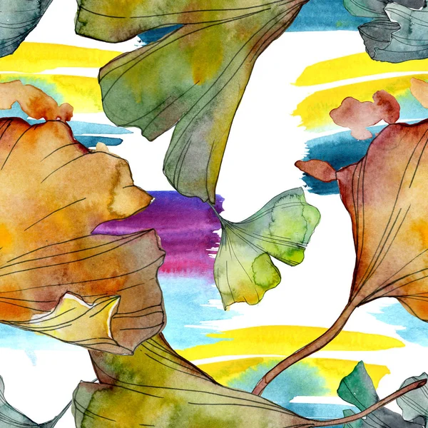 Ginkgo biloba planta de hojas jardín botánico follaje floral. Juego de ilustración en acuarela. Acuarela dibujo moda acuarela aislado. Patrón de fondo sin costuras. Textura de impresión de papel pintado de tela . - foto de stock