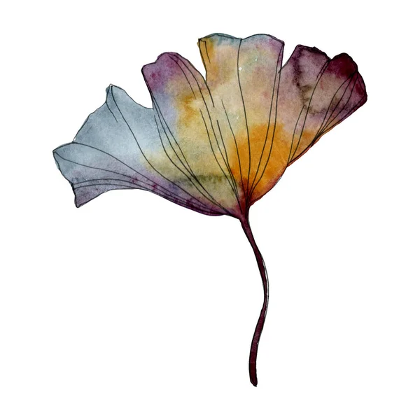 Foglia di Ginkgo biloba. Foglia vegetale orto botanico fogliame floreale. Acquerello sfondo illustrazione set. Acquerello disegno moda acquerello isolato. Elemento isolante di illustrazione ginkgo . — Foto stock