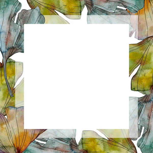 Folha de ginkgo biloba. Folha planta botânica jardim folhagem floral. Conjunto de ilustração de fundo aquarela. Aquarelle desenho aquarelle moda isolado. Quadro borda ornamento quadrado . — Fotografia de Stock