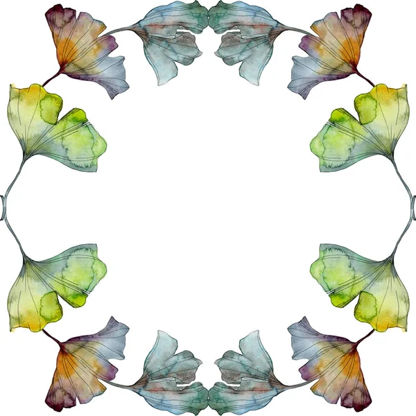 Feuille de ginkgo biloba. Feuillage floral de jardin botanique de plante de feuille. Ensemble d'illustration de fond aquarelle. Aquarelle dessin mode aquarelle isolé. Cadre bordure ornement carré . — Photo de stock