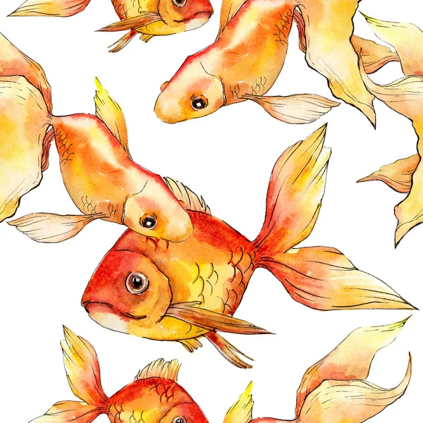 Aquarela aquática coloridos peixinhos dourados isolados em conjunto ilustração branca. Padrão de fundo sem costura. Tecido papel de parede impressão textura . — Fotografia de Stock