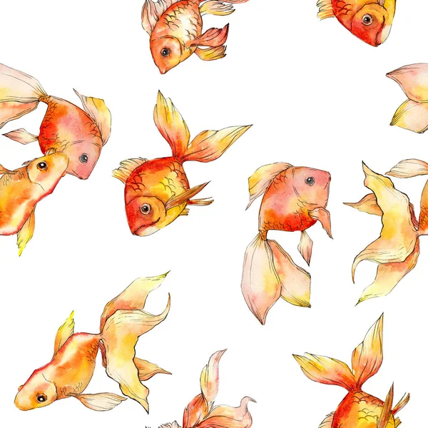 Aquarela aquática coloridos peixinhos dourados isolados em conjunto ilustração branca. Padrão de fundo sem costura. Tecido papel de parede impressão textura . — Fotografia de Stock