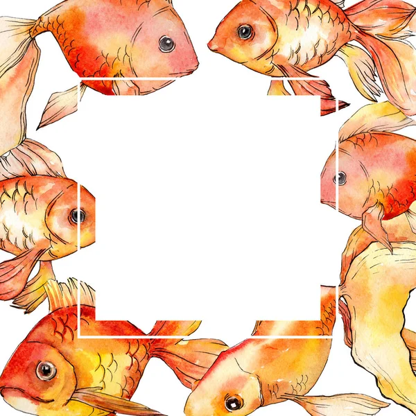 Aquarela aquático colorido peixinhos ilustração isolada no branco. Ornamento de borda de quadro com espaço de cópia . — Fotografia de Stock