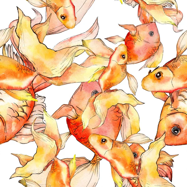 Aquarela aquática coloridos peixinhos dourados isolados em conjunto ilustração branca. Padrão de fundo sem costura. Tecido papel de parede impressão textura . — Fotografia de Stock