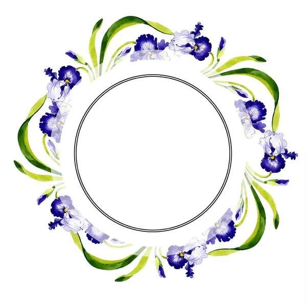 Flor botânica floral da íris azul. Folha selvagem primavera wildflower isolado. Conjunto de ilustração de fundo aquarela. Aquarelle desenho aquarelle moda. Quadro borda ornamento quadrado . — Fotografia de Stock