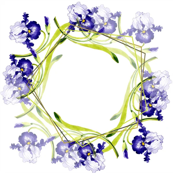 Flor botânica floral da íris azul. Folha selvagem primavera wildflower isolado. Conjunto de ilustração de fundo aquarela. Aquarelle desenho aquarelle moda. Quadro borda ornamento quadrado . — Fotografia de Stock