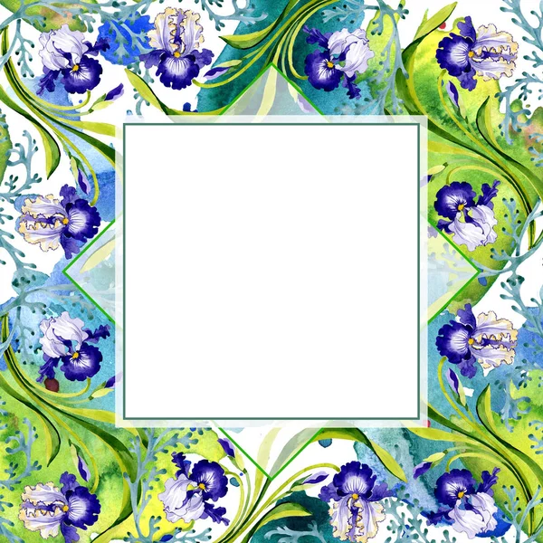 Flor botánica floral de iris azul. Flor silvestre de hoja de primavera aislada. Conjunto de ilustración de fondo acuarela. Acuarela dibujo moda aquarelle. Marco borde ornamento cuadrado . - foto de stock