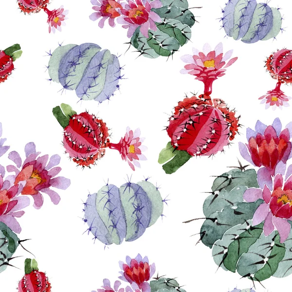 Green and red cacti watercolor illustration set.  Seamless background pattern. Fabric wallpaper print texture. — Stock Photo