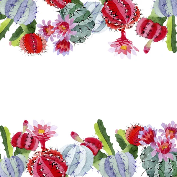 Cactus verdes y rojos con flores aisladas en blanco. Conjunto de ilustración de fondo acuarela. Marco ornamento borde con espacio de copia . - foto de stock