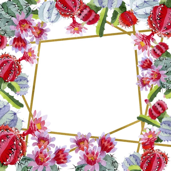 Cactus verdi e rossi con fiori isolati su bianco. Acquerello sfondo illustrazione set. Ornamento bordo cornice con spazio copia . — Foto stock