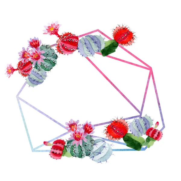 Cactus vert et rouge avec des fleurs isolées sur blanc. Ensemble d'illustration de fond aquarelle. Cadre bordure ornement avec espace de copie . — Photo de stock