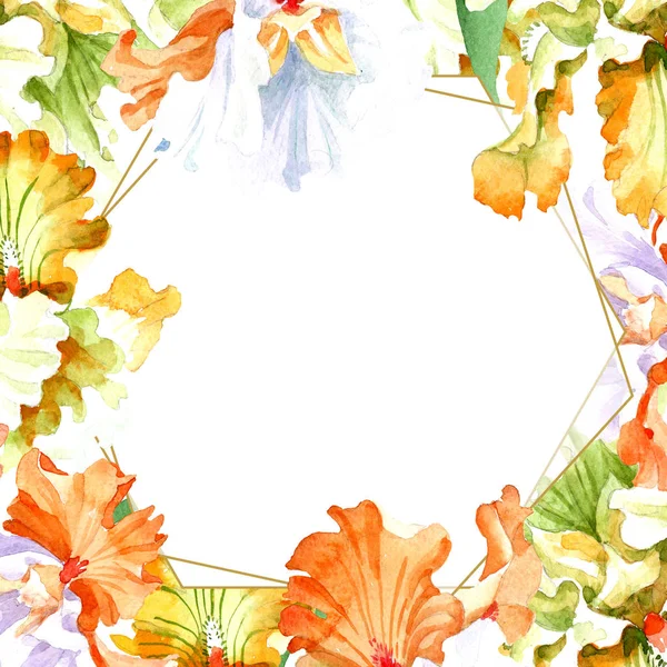 Laranja íris branca flor botânica floral. Folha selvagem primavera wildflower isolado. Conjunto de ilustração de fundo aquarela. Aquarelle desenho aquarelle moda isolado. Quadro borda ornamento quadrado . — Fotografia de Stock