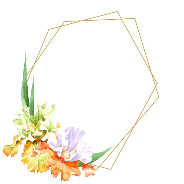 Naranja iris blanco flor botánica floral. Flor silvestre de hoja de primavera aislada. Conjunto de ilustración de fondo acuarela. Acuarela dibujo moda acuarela aislado. Marco borde ornamento cuadrado . - foto de stock