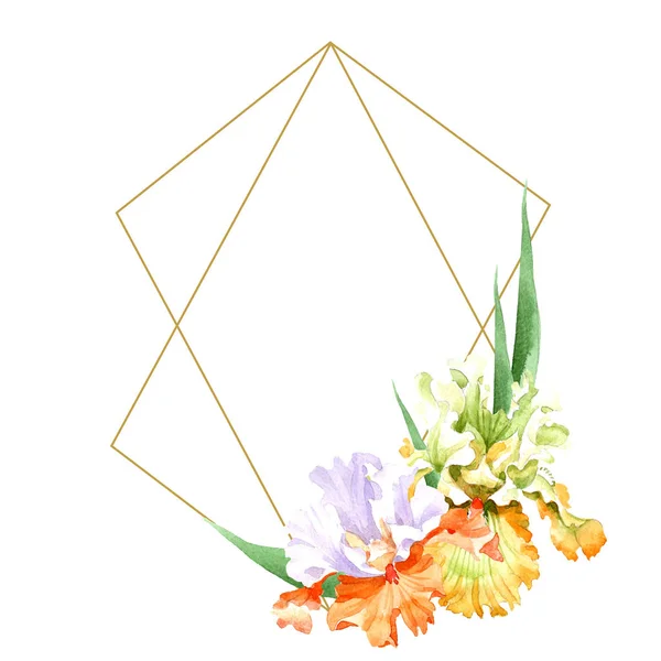 Naranja iris blanco flor botánica floral. Flor silvestre de hoja de primavera aislada. Conjunto de ilustración de fondo acuarela. Acuarela dibujo moda acuarela aislado. Marco borde ornamento cuadrado . - foto de stock