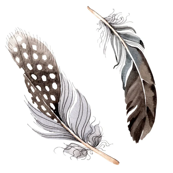 Watercolor blue and black bird feather from wing isolated. Aquarelle feather for background. Watercolour drawing fashion. Isolated feathers illustration element. — Stock Photo