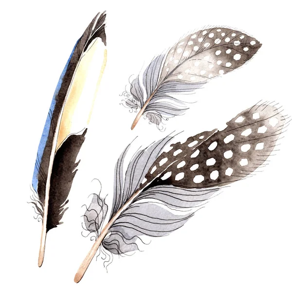 Watercolor blue and black bird feather from wing isolated. Aquarelle feather for background. Watercolour drawing fashion. Isolated feathers illustration element. — Stock Photo