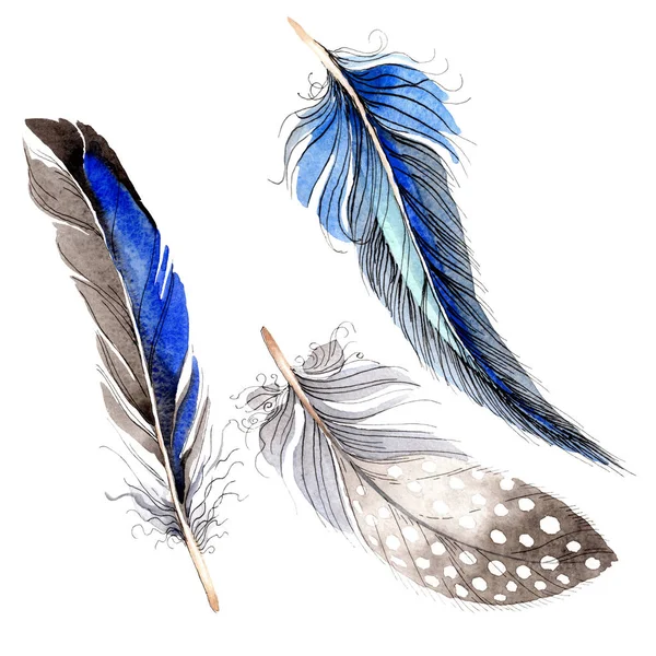 Watercolor blue and black bird feather from wing isolated. Aquarelle feather for background. Watercolour drawing fashion. Isolated feathers illustration element. — Stock Photo