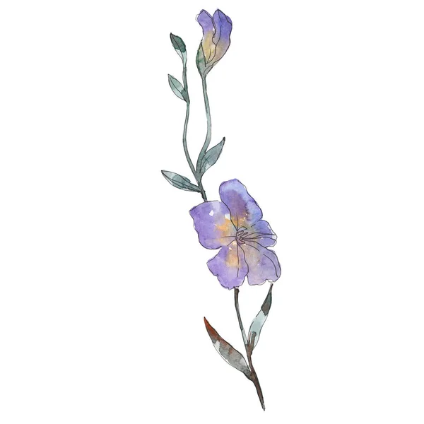 Fiore botanico floreale di lino viola. Fiore selvatico primaverile isolato. Acquerello sfondo illustrazione set. Acquerello disegno moda acquerello. Elemento di illustrazione del lino isolato . — Foto stock