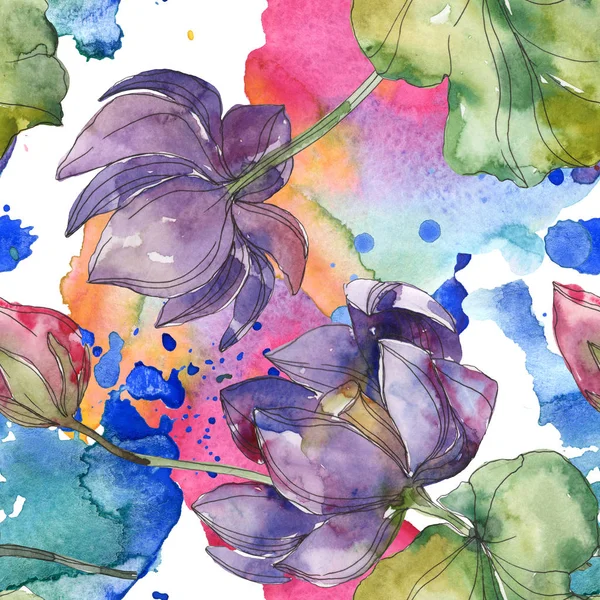 Botanische Lotusblume rosa und lila. wildes Frühlingsblatt isoliert. Aquarell-Illustrationsset vorhanden. Aquarell zeichnen Mode-Aquarell. nahtlose Hintergrundmuster. Stoff Tapete drucken Textur. — Stock Photo