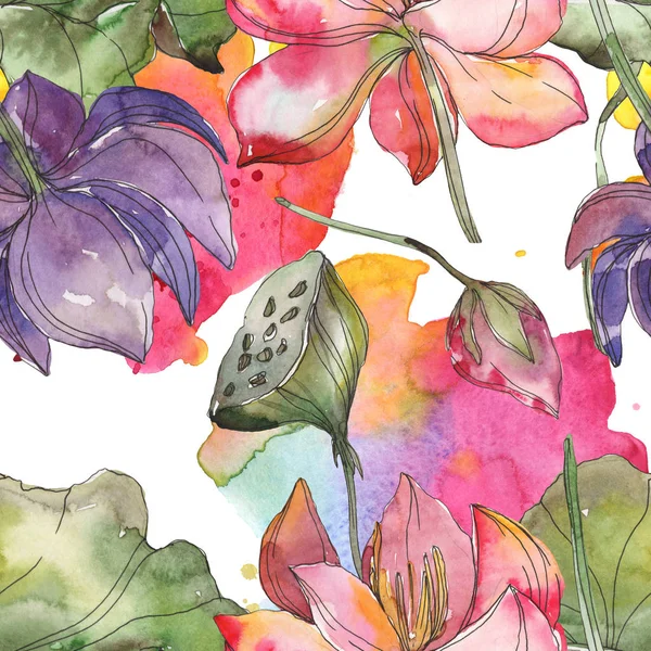 Botanische Lotusblume rosa und lila. wildes Frühlingsblatt isoliert. Aquarell-Illustrationsset vorhanden. Aquarell zeichnen Mode-Aquarell. nahtlose Hintergrundmuster. Stoff Tapete drucken Textur. — Stockfoto