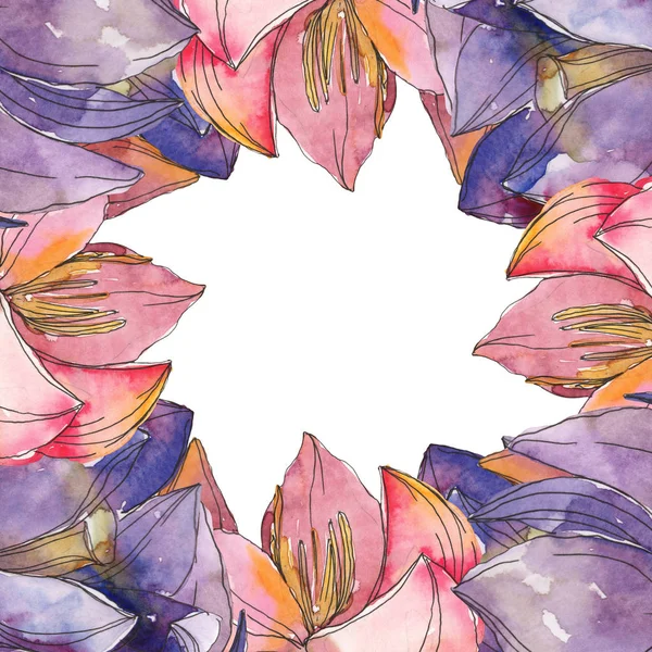 Flor botânica foral de lótus rosa e roxo. Folha selvagem primavera wildflower isolado. Conjunto de ilustração de fundo aquarela. Aquarelle desenho aquarelle moda. Quadro borda ornamento quadrado . — Fotografia de Stock