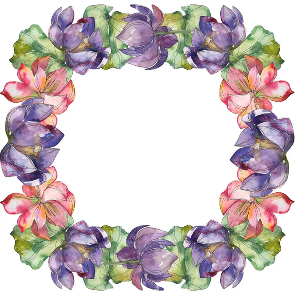 Fiore botanico di loto rosa e viola. Fiore selvatico primaverile isolato. Acquerello sfondo illustrazione set. Acquerello disegno moda acquerello. Quadrato ornamento bordo cornice . — Foto stock