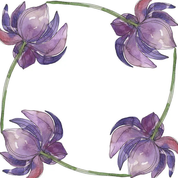 Фиолетовый лотос ботанический цветок. Дикий весенний цветок изолирован. Набор акварельных фонов. Акварель для рисования акварелью. Граничный орнамент . — стоковое фото