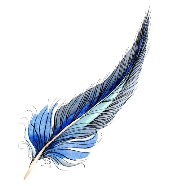 Vogelfeder vom Flügel isoliert auf weiß. Aquarell Hintergrund Illustration Element. — Stockfoto
