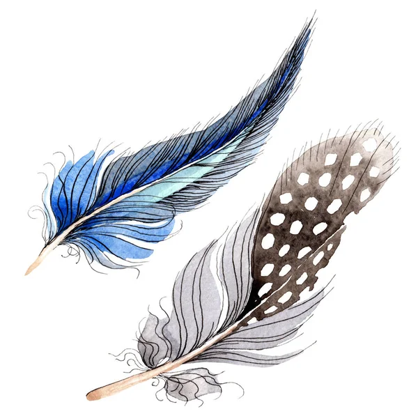 Plumas de pájaro de ala aisladas en blanco. Acuarela fondo ilustración conjunto . - foto de stock