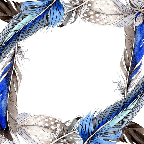 Plumas de pájaro de ala aisladas en blanco. Conjunto de ilustración de fondo acuarela. Marco ornamento frontera . - foto de stock