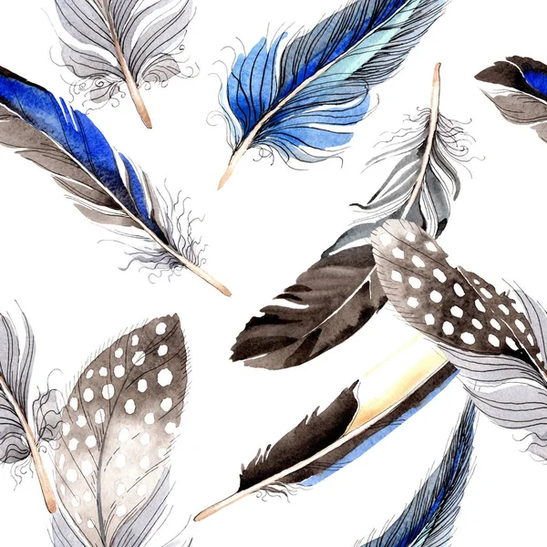 Des plumes d'oiseaux d'aile. Ensemble d'illustration de fond aquarelle. Modèle de fond sans couture. Texture d'impression papier peint tissu . — Photo de stock