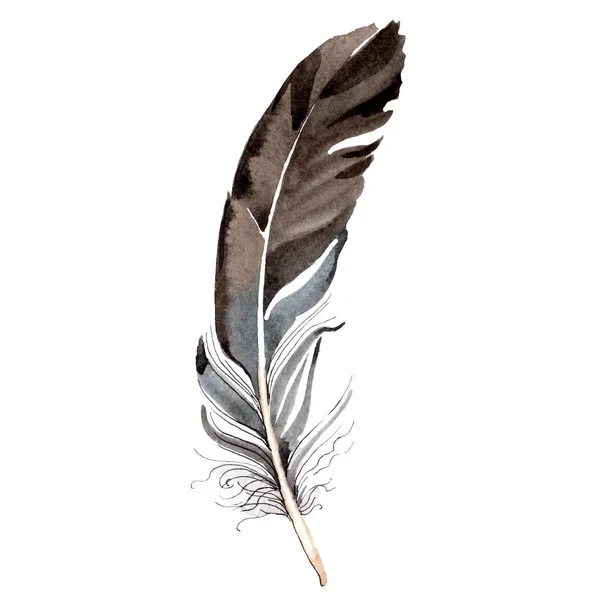 Piuma d'uccello da ala isolata su bianco. Acquerello sfondo elemento illustrazione . — Foto stock