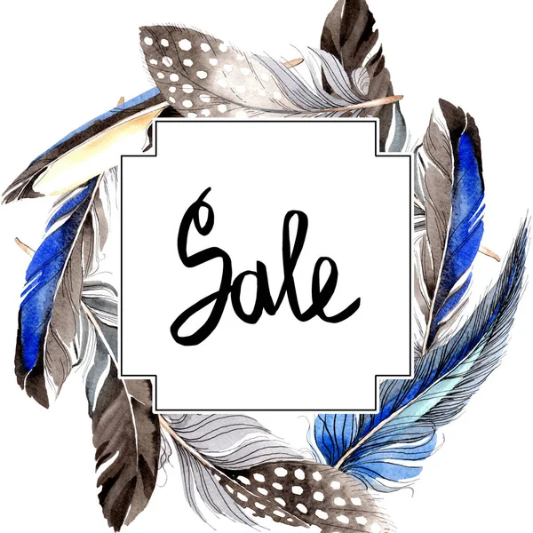 Bird feathers from wing isolated on white. Watercolor background illustration set. Frame border ornament. — Stock Photo