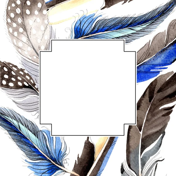 Bird feathers from wing isolated on white. Watercolor background illustration set. Frame border ornament. — Stock Photo