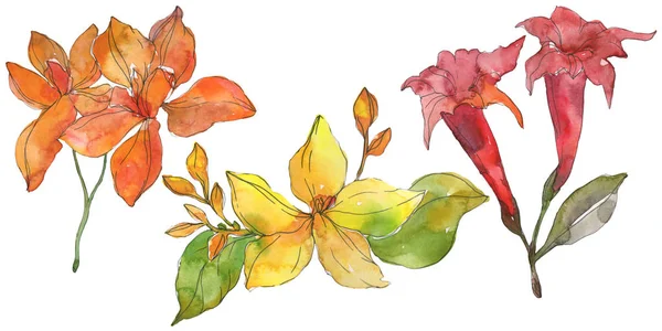 Rote und gelbe tropische botanische Blüten. wilde Frühlingsblume. Aquarell Hintergrundillustration Set. Aquarell zeichnen Mode-Aquarell. isolierte Blume Illustration Element. — Stockfoto