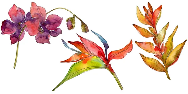 Blüten isoliert auf weiß. Aquarell Hintergrund Illustration Set. — Stockfoto