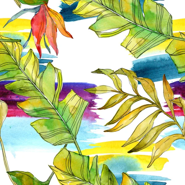 Flores botânicas florais tropicais. Folha de planta exótica isolada. Conjunto de ilustrações aquarela. Aquarelle desenho aquarelle moda. Padrão de fundo sem costura. Tecido papel de parede impressão textura . — Fotografia de Stock