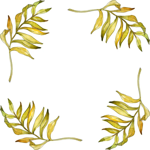 Fiori botanici tropicali floreali. Pianta esotica foglia isolata. Acquerello sfondo illustrazione set. Acquerello disegno moda acquerello isolato. Quadrato ornamento bordo cornice . — Foto stock